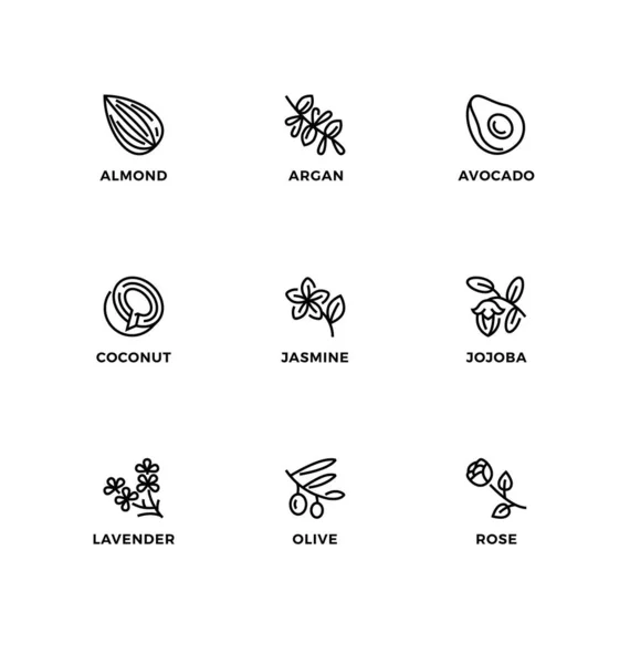 Conjunto Vectorial Elementos Diseño Plantilla Diseño Logotipo Iconos Insignias Para — Vector de stock