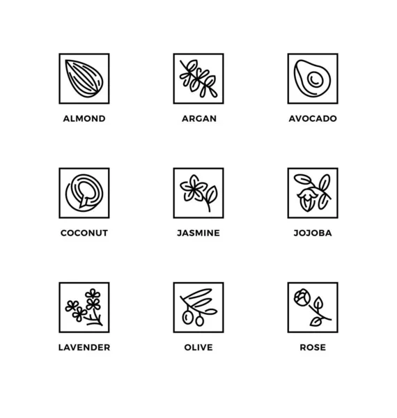 Conjunto Vectorial Elementos Diseño Plantilla Diseño Logotipo Iconos Insignias Para — Archivo Imágenes Vectoriales