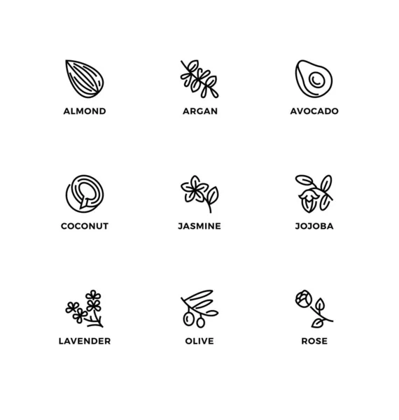 Векторний Набір Елементів Дизайну Шаблон Дизайну Логотипу Іконки Значки Здорових Ліцензійні Стокові Вектори