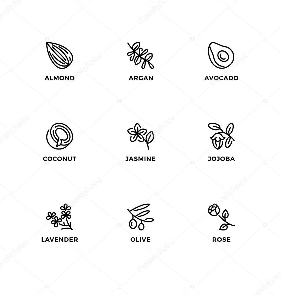 Vector set of design elements, logo design template, icons and badges for healthy food oils for cooking or for bio cosmetics. Line icon set, editable stroke.