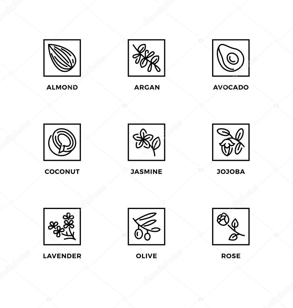 Vector set of design elements, logo design template, icons and badges for healthy food oils for cooking or for bio cosmetics. Line icon set, editable stroke.