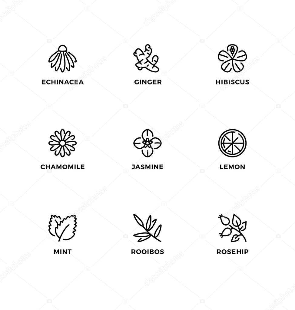 Vector set of design elements, logo design template, icons and badges for the flavor of organic tea. Black and white, line icon set, editable stroke.