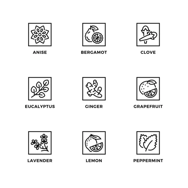 可编辑精油的设计元素 标识设计模板 图标和徽章的向量集 线条图标集 可编辑笔划 — 图库矢量图片