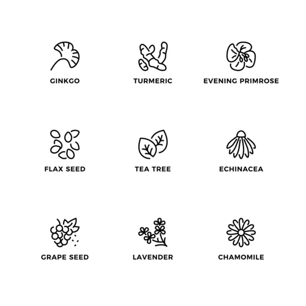 Set Vettoriale Elementi Design Modello Design Del Logo Icone Badge — Vettoriale Stock