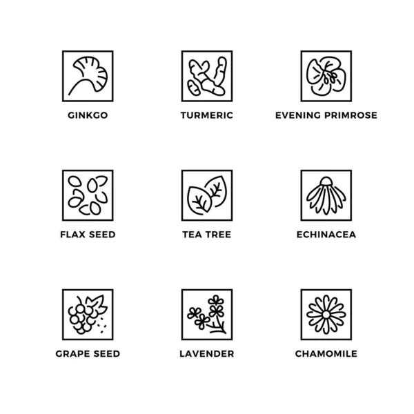 Векторний Набір Елементів Дизайну Шаблон Дизайну Логотипу Значки Значки Медичних Ліцензійні Стокові Ілюстрації