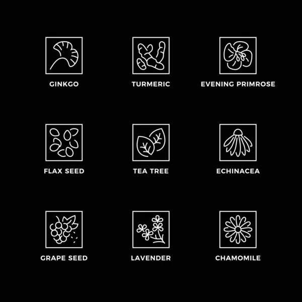 Vector Set Design Elements Logo Design Template Icons Badges Medical Royalty Free Stock Vectors