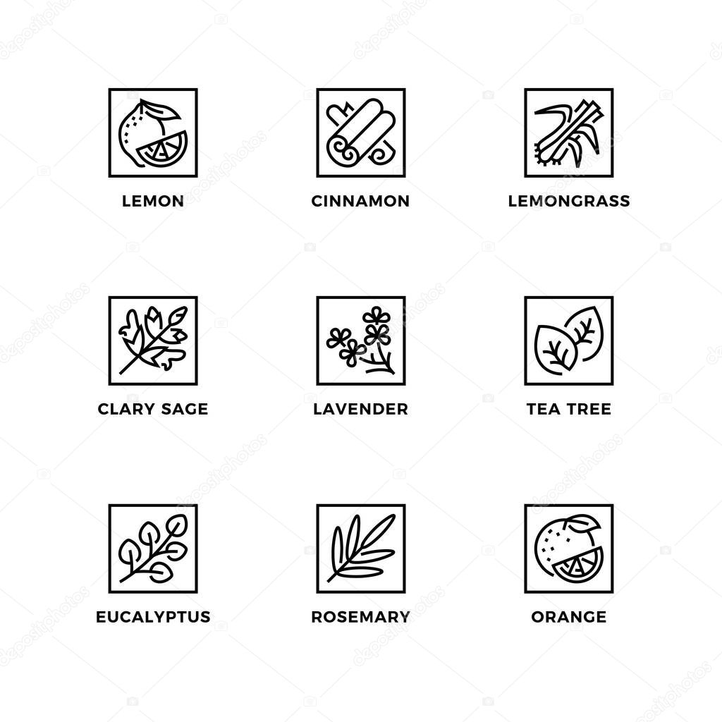 Vector set of design elements, logo design template, icons and badges for essential oils. Line icon set, editable stroke.