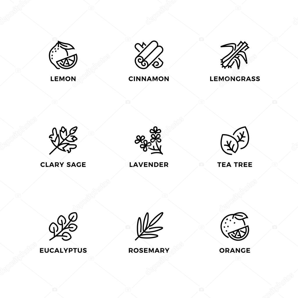Vector set of design elements, logo design template, icons and badges for essential oils. Line icon set, editable stroke.