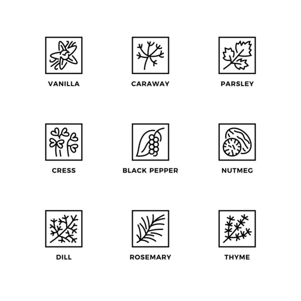 Векторний Набір Елементів Дизайну Шаблон Дизайну Логотипу Значки Значки Трав Векторна Графіка