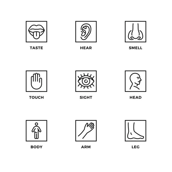 Vector Set Design Elements Logo Design Template Icons Badges Senses — Stock Vector