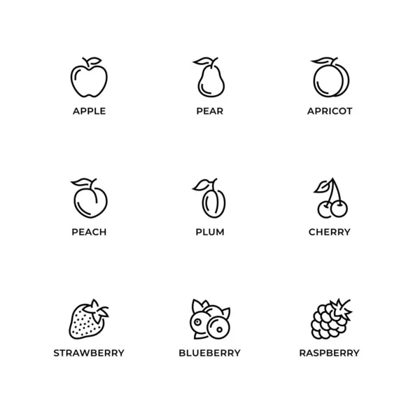 Conjunto Vectorial Elementos Diseño Plantilla Diseño Logotipo Iconos Insignias Para — Vector de stock