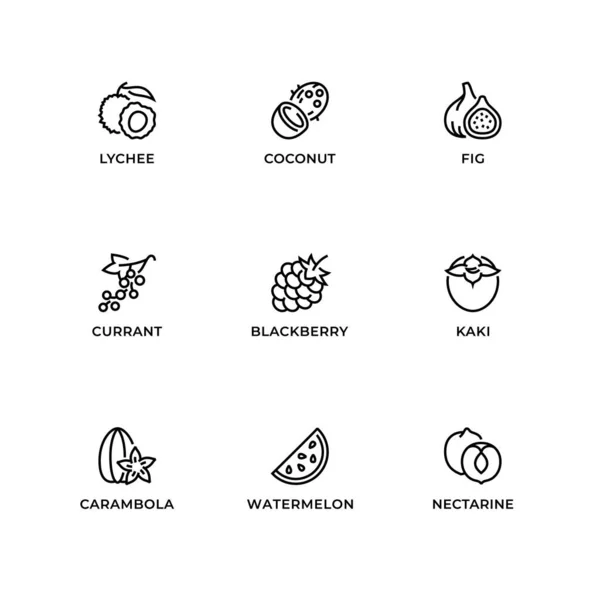 Векторний Набір Елементів Дизайну Шаблон Дизайну Логотипу Піктограми Значки Фруктів Стокова Ілюстрація