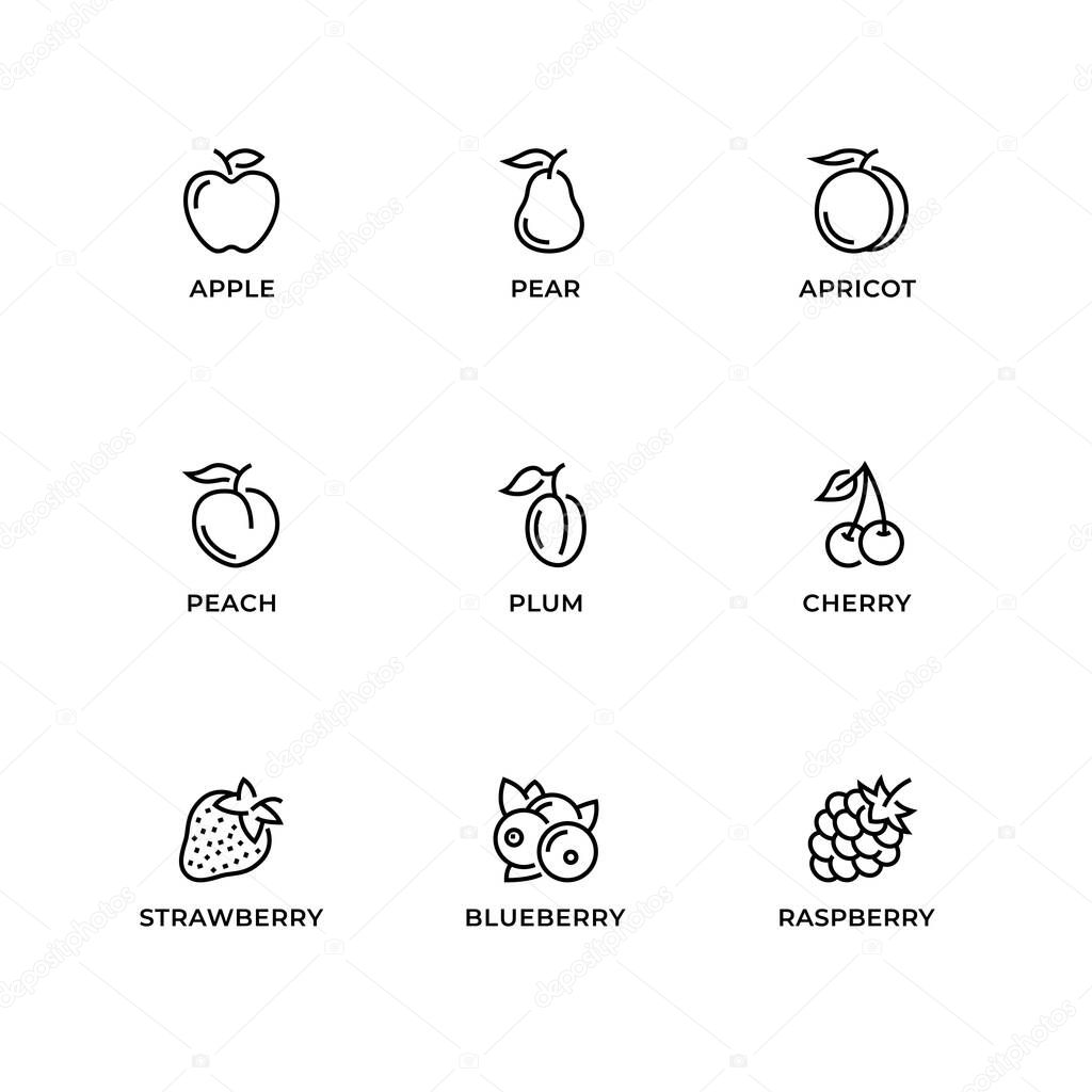 Vector set of design elements, logo design template, icons and badges for fruit. Line icon set, editable stroke.