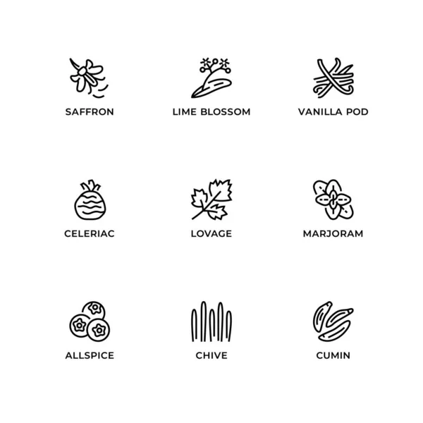 Векторний Набір Елементів Дизайну Шаблон Дизайну Логотипу Значки Значки Трав Ліцензійні Стокові Ілюстрації