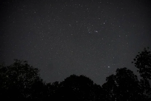 Long Exposure Night Photo Lot Stars Trees Foreground Far City — Stock Photo, Image