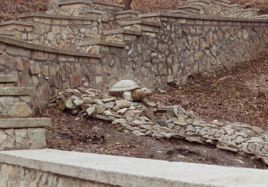 Kaplumbağa sonbahar parkında taş Nehri üzerinde taş heykel