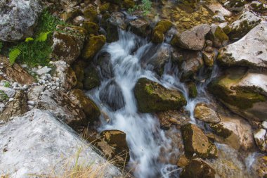 Nehirde küçük bir şelale