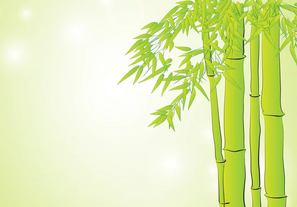Bambus auf hellgrünem Hintergrund — Stockvektor