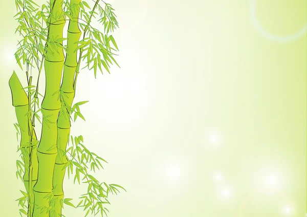 Bamboo in light green background — Stock Vector