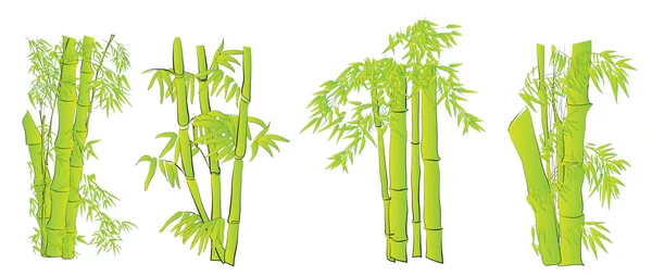 Bambus-Vektorset — Stockvektor