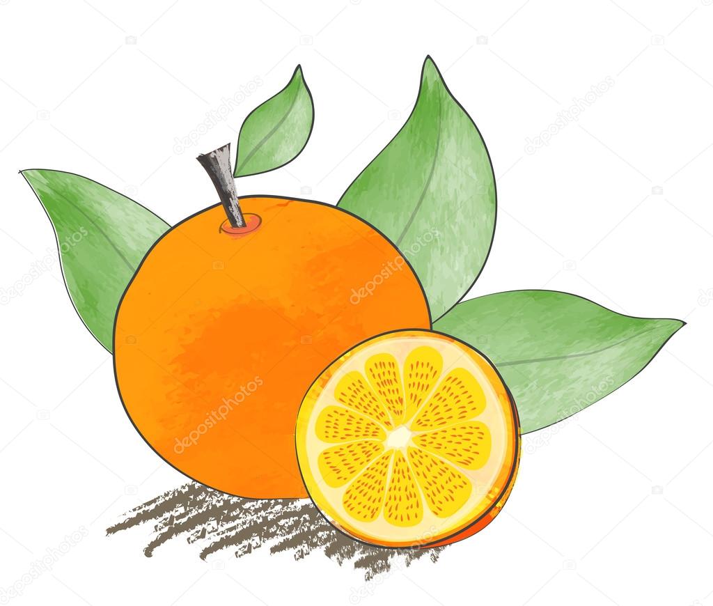 Orange water color hand drawn vector design
