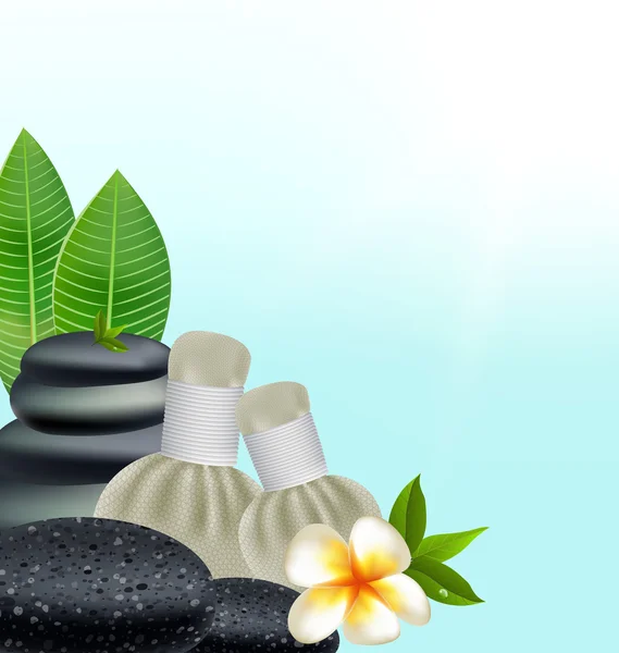 Zioła tajski masaż spa z kompresji zioła naturalne tło — Wektor stockowy