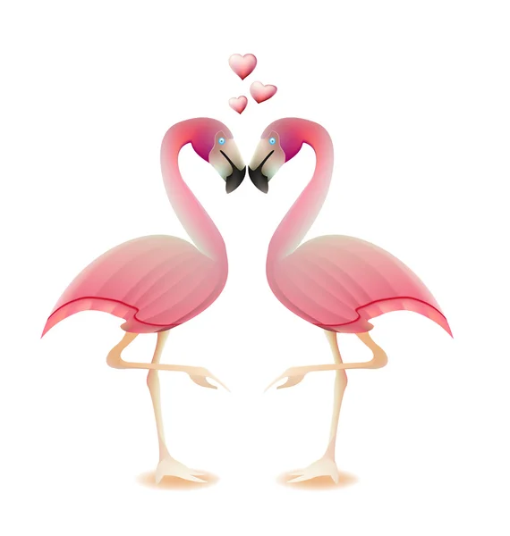 Flamants roses coeur amour Valentine concept — Image vectorielle