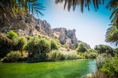 Preveli palmiye orman Crete Island, Yunanistan. 