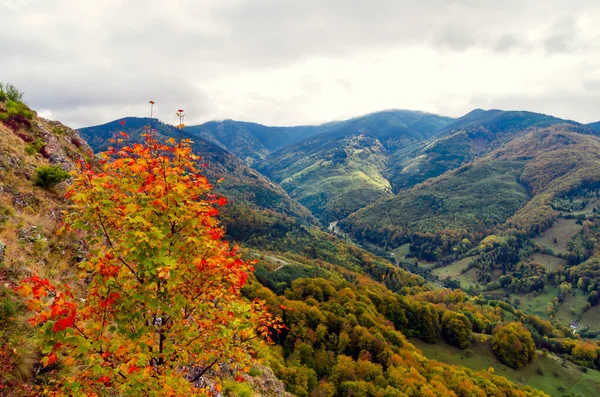 秋天的山景 秋天的山景 森林里有五彩缤纷的树木 草地上有一些房子和农舍 — 图库照片