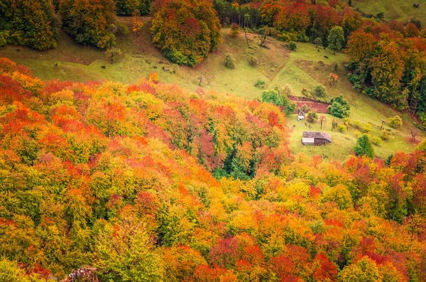 秋天的山景 秋天的山景 森林里有五彩缤纷的树木 草地上有一些房子和农舍 — 图库照片