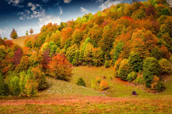 山の中で秋の風景 森の中でカラフルな木々と山の秋のシーン 牧草地にはいくつかの家やコテージがあります — ストック写真