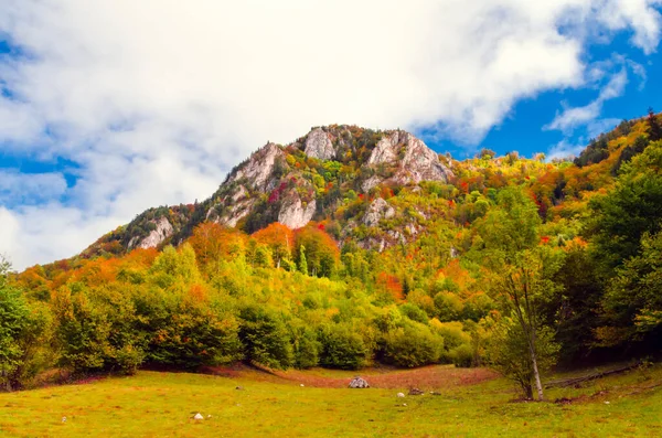 秋天的山景 秋天的山景 森林里有五彩缤纷的树木 — 图库照片