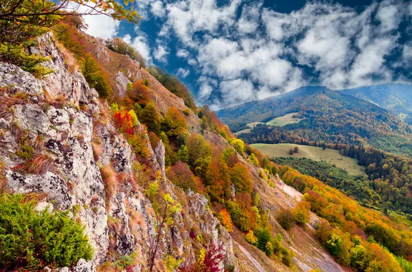 Vallen Landschap Bergen Bergherfst Scene Met Kleurrijke Bomen Het Bos — Stockfoto