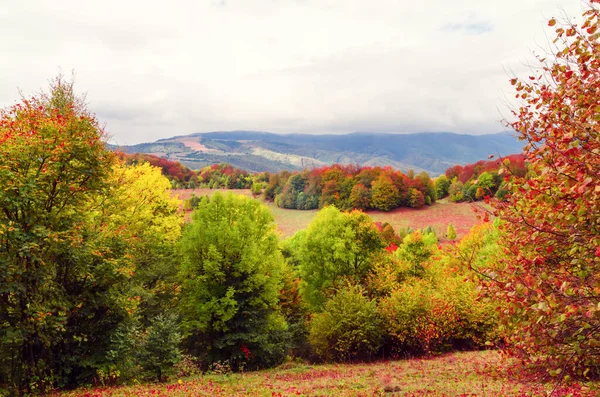 秋天的山景 秋天的山景 森林里有五彩缤纷的树木 — 图库照片