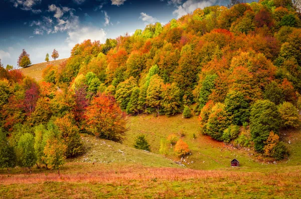 Paysage Automne Dans Les Montagnes Montagne Scène Automne Avec Des — Photo