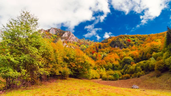 秋天的山景 秋天的山景 森林里有五彩缤纷的树木 — 图库照片