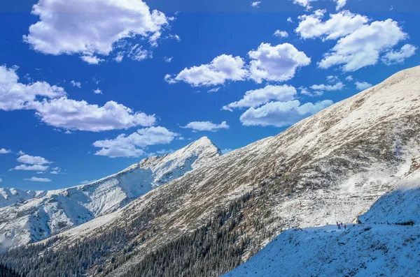 Impresionante Vista Las Montañas Fagaras Invierno Cresta Montaña Llena Nieve — Foto de Stock