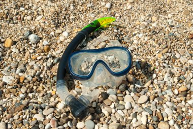Yüz maskesi ve tüp su altında dalış için