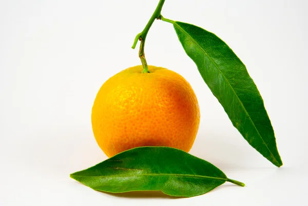 Tangerine, Mandarijn, clementine geïsoleerd op wit — Stockfoto