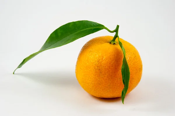 Tangerine, Mandarijn, clementine geïsoleerd op wit — Stockfoto