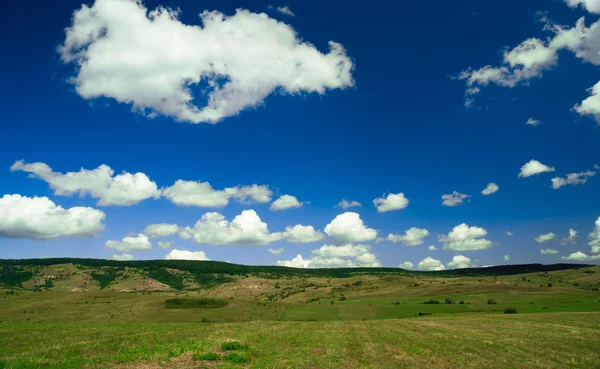 Campo verde y cielo azul con nubes claras — Foto de Stock
