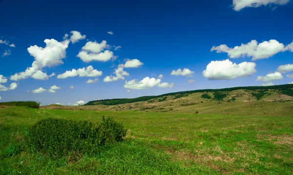 Campo verde y cielo azul con nubes claras — Foto de Stock