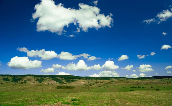 Campo verde y cielo azul con nubes claras — Foto de Stock