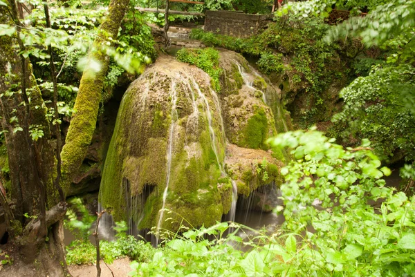 Bigar - the most beautiful waterfall in the world. Carpathians — Stock Photo, Image