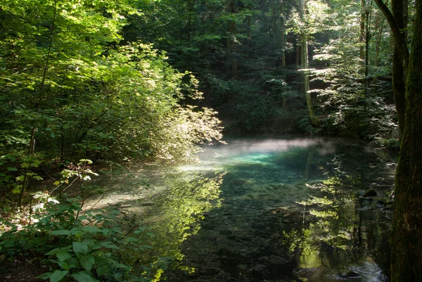 Beiului eye lake. Ochiul Beiului — Stock Photo, Image