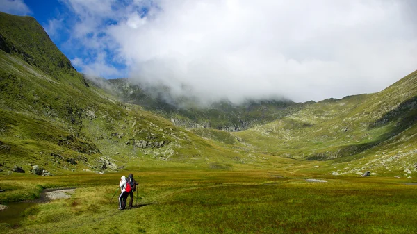 Caminho para o Pico Moldoveanu, o pico mais alto dos Cárpatos romenos — Fotografia de Stock