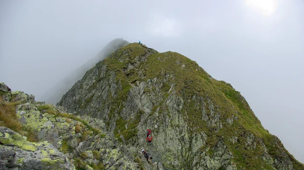 Way to Moldoveanu Peak, the highest peak in Romanian Carpathians — Stock Photo, Image