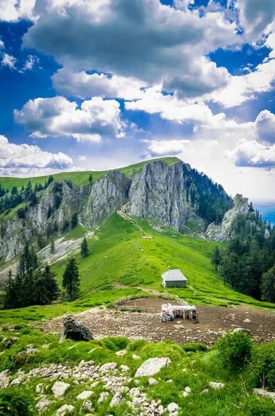 Berglandschap met schaapskooi in de Karpaten, Roman — Stockfoto