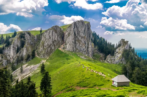 Горный пейзаж с овчарней в Карпатах, Роман — стоковое фото