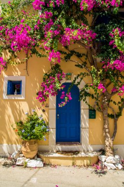 Geleneksel Yunan ev çiçeklerle Assos, Kefalonia Adası,